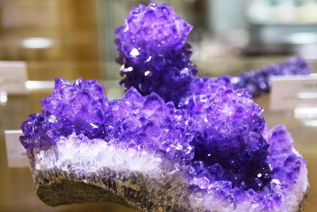 Fewo Purper Frauenberg Экстерьер фото