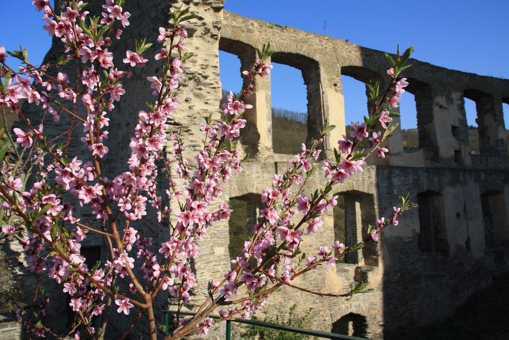 Fewo Purper Frauenberg Экстерьер фото